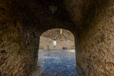 Gallery Thumb 1