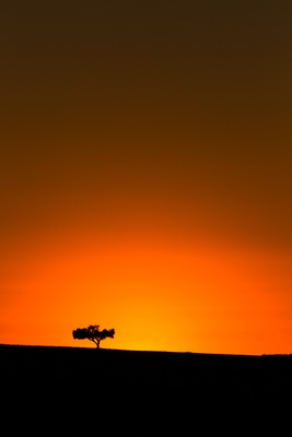 Gallery Thumb 1