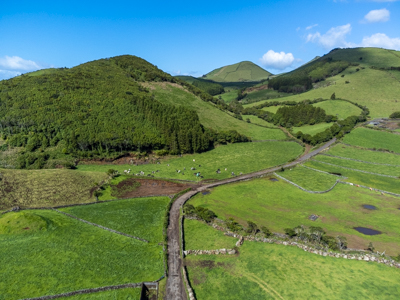 Gallery Thumb 1