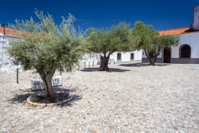 Gallery Thumb 1
